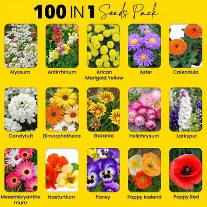 Premium Flower Seeds ( 100 )