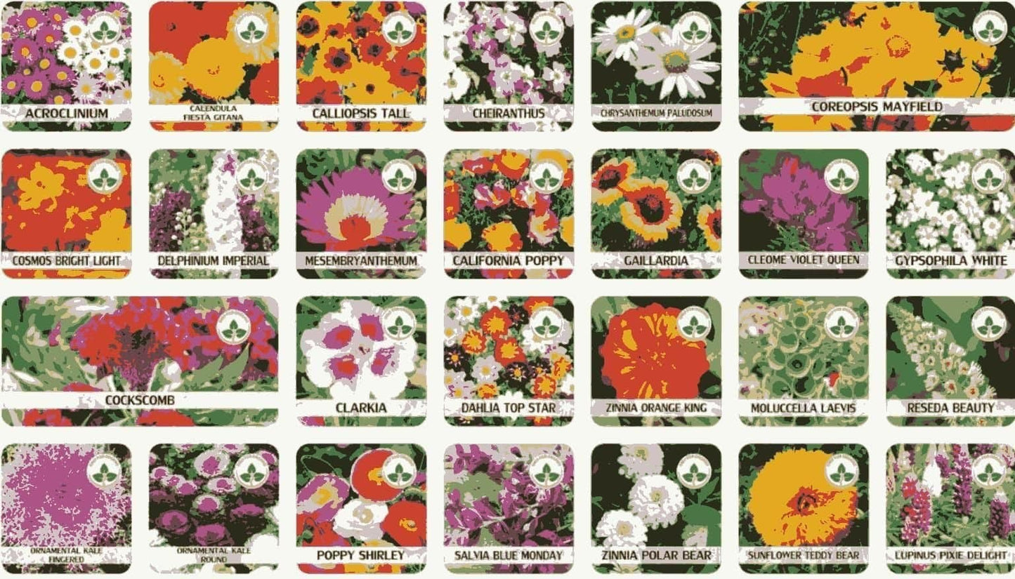 Premium Flower Seeds ( 100 )