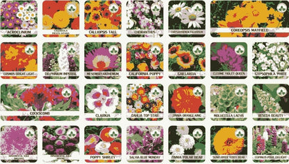 Premium Flower Seeds ( 100 )