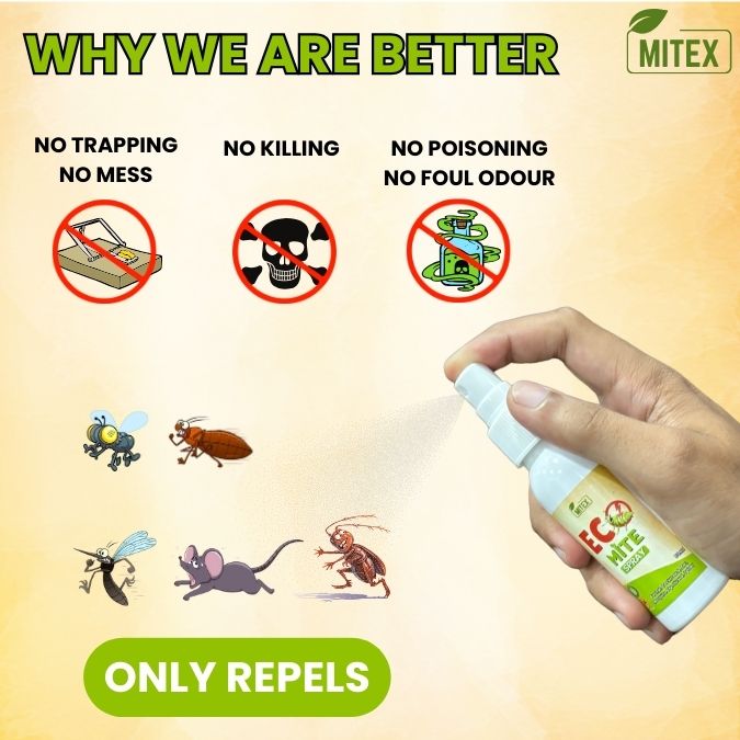 Eco Mite Spray (Buy 1 Get 1 Free)