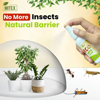 Eco Mite Spray (Buy 1 Get 1 Free)